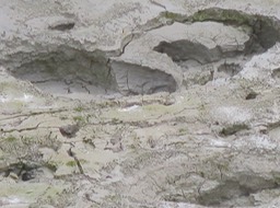 mud pots; Craters of The Moon