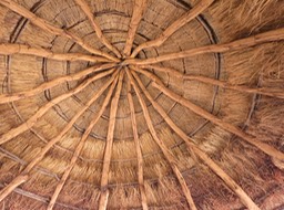 nice roof support structure
