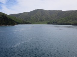 on Marlborough Sounds