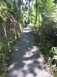 on Pahia School Road Track