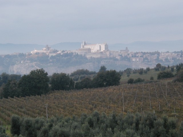 Orvieto_from_vinyard