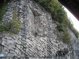 hidden Swiss defenses