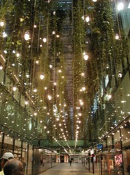 plants & lighting, Munich