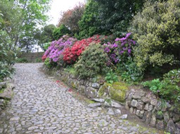 part of the path to the castle