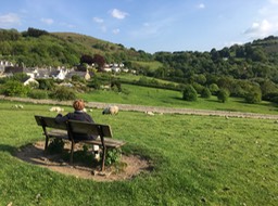 pasture at edge of Chagford