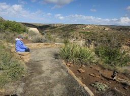 path from Step House (Wetherill Mesa)