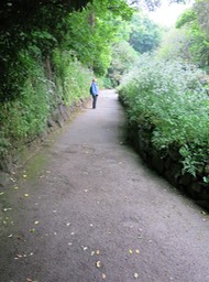 path to our hotel from town