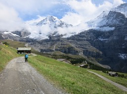 really tough scenery!