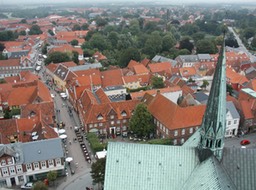 Ribe- from the roof 