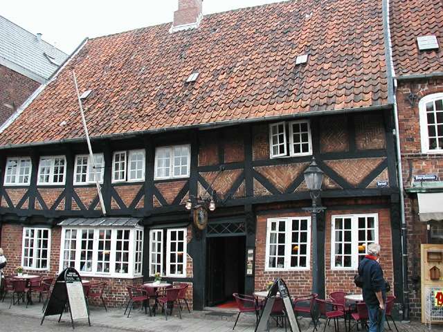 Ribe-1