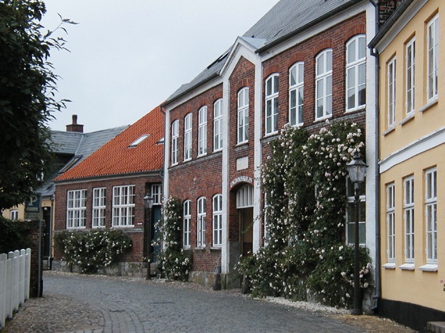 Ribe-3