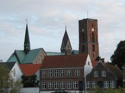 Ribe-9