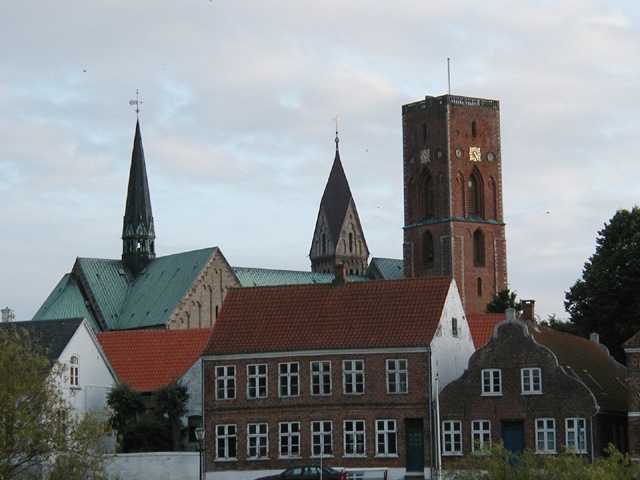 Ribe-9