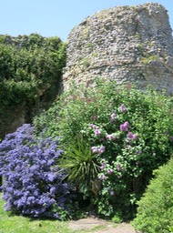 ruins of Pevensey Castle