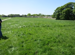 ruins of Pevensey Castle