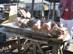 sheep heads for sale in the township