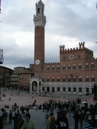 Siena_campo