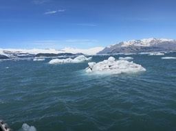 smaller pieces floating