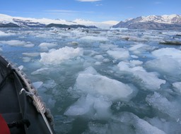 some smaller hunks of ice