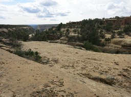 Spruce Tree House is underneath