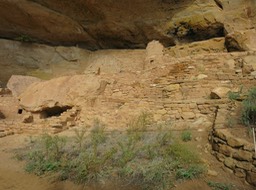 Step House (Wetherill Mesa)-4