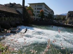surfers on the Aare river in Thun