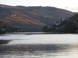 The Douro River