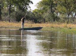 the lead guide in a Mokoro