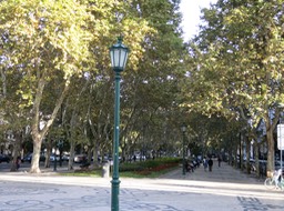 The Lisbon street near our hotel
