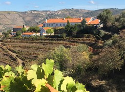 the winery we visited in the Douro Valley (2)