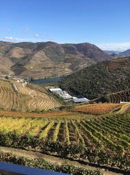 the winery we visited in the Douro Valley