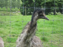 this one wanted more!