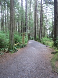 trail in Sitka Historical Park