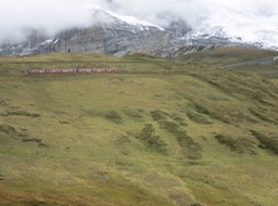 train headed for the Jungfraujoch