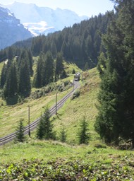 train runs along the trail