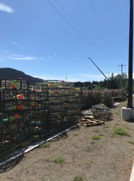 traps on the docks in Haines