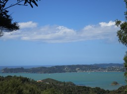 view at end of Pahia School Road Track