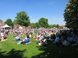 watching Prince Harry's wedding; lawn of Salisbury Cathedral