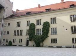 Wawel Castle courtyard; Krakow