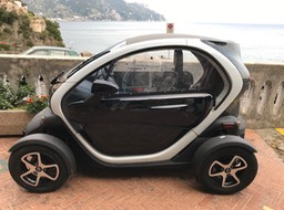 we saw several of these (it isn't really a toy!)