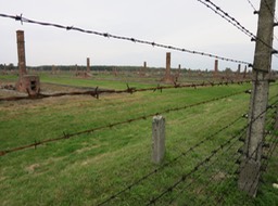 where buildings once were in Birkenau