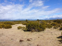 Wilderness Scientific area w/post ice age plants