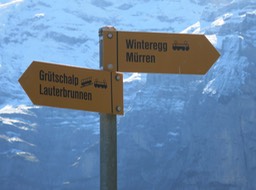 you can't get lost!